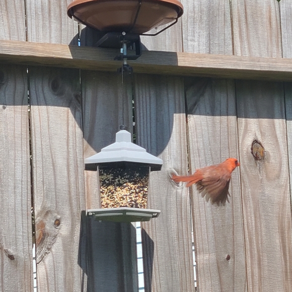 I'm Featured🎈Follow Game #8 - Picture 4 of 5